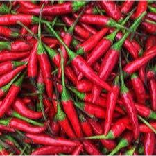 Thai Bird Chilis - My Store