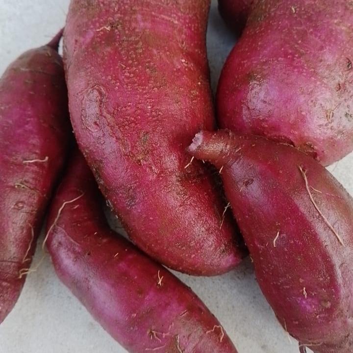 Sweet Potatoes