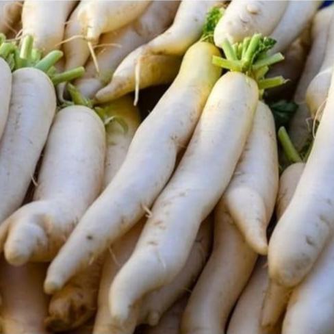 Daikon - My Store