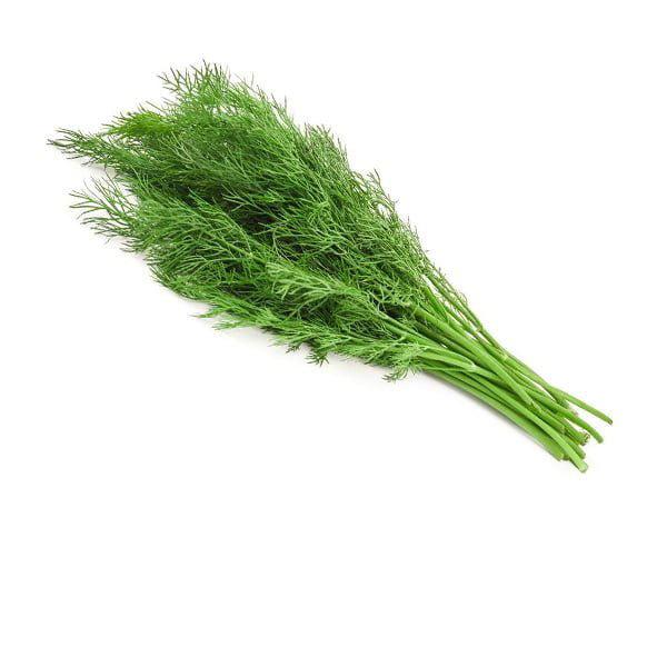 Fennel Leaf - My Store