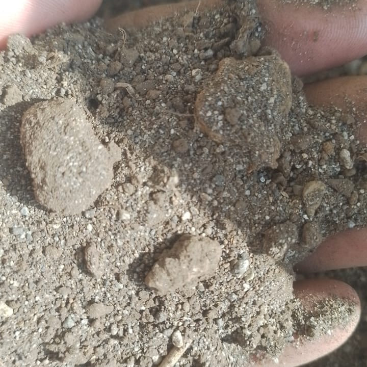 Mikes Soil