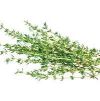 Thyme - My Store